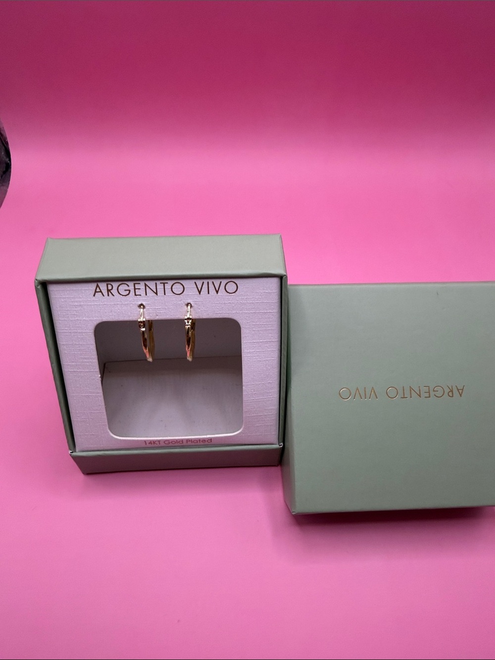 Argento Vivo Gold-Plated Hoop Earrings - Pink Box